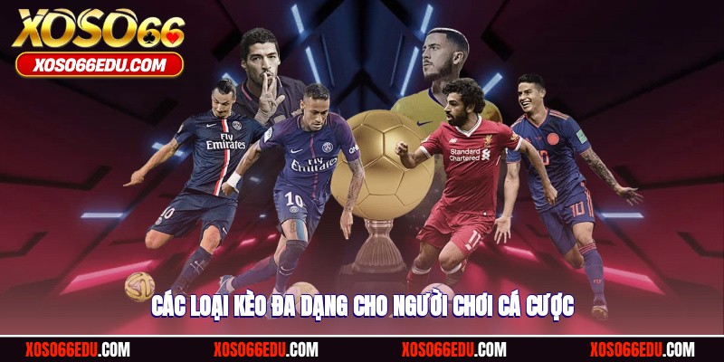 Các loại kèo đa dạng cho người chơi cá cược