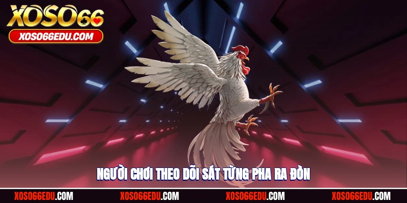 Kê thủ theo dõi sát từng pha ra đòn